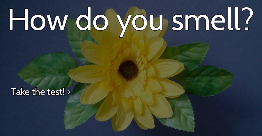 How do you smell?