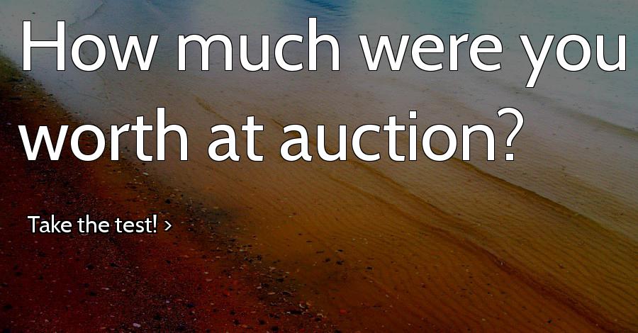 How much were you worth at auction?